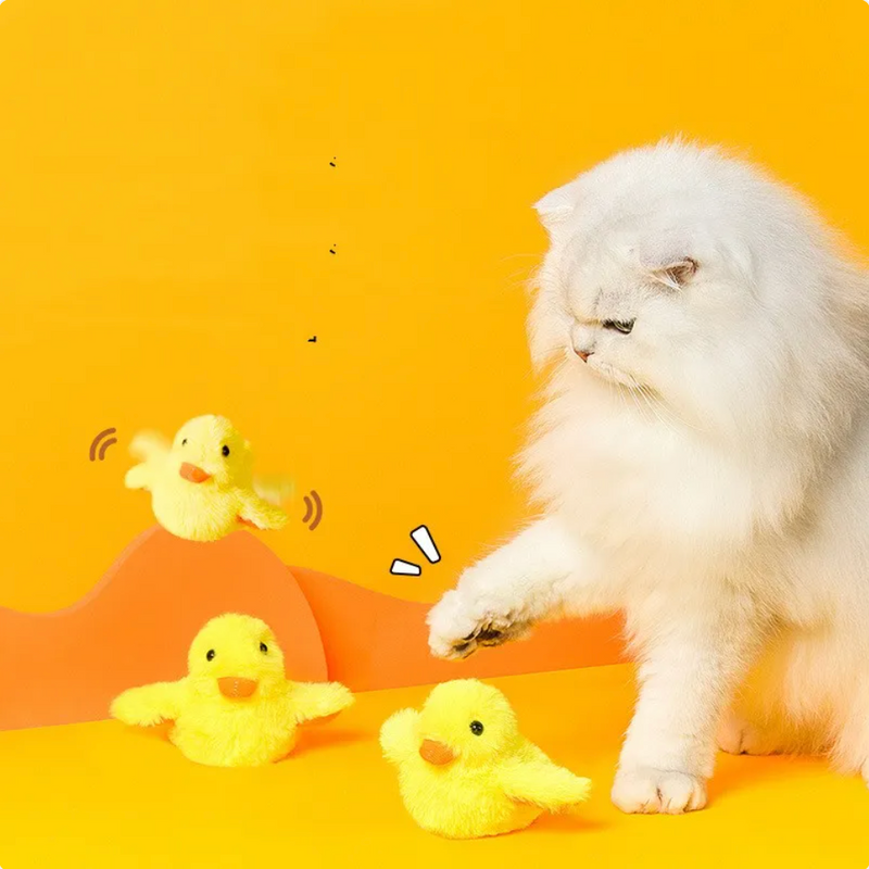Electric Duck Cat Toy